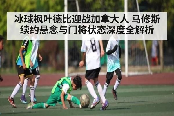 冰球枫叶德比迎战加拿大人 马修斯续约悬念与门将状态深度全解析